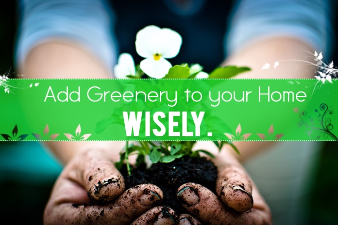 13 Gardening Tips You Should Follow but No.10 is Stunning