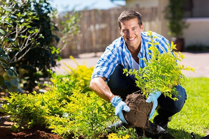 gardening health benefits