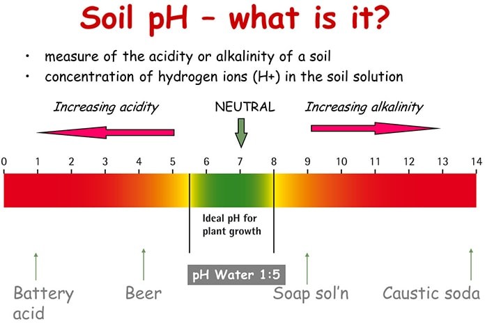 soil ph