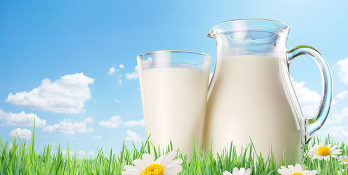 Drink Milk to boost metbolism