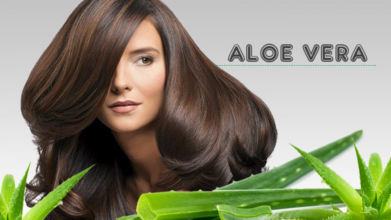 How To Use Aloe Vera For Hair Growth And Strength Livinghours
