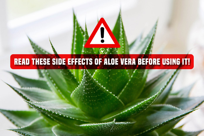Aloe Vera Side Effects