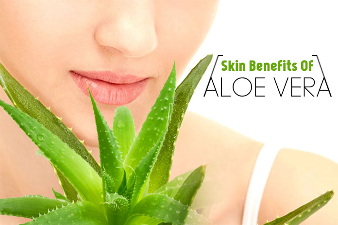 15 Benefits Of Aloe Vera For Skin 5 Is Ultimate Livinghours