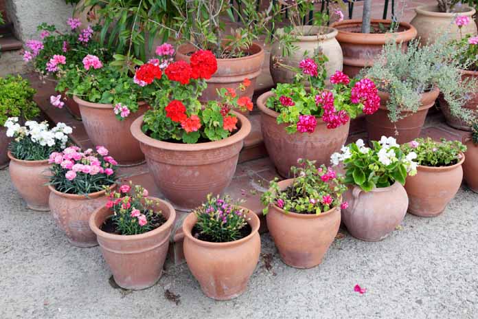 container gardening