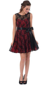 Cute Red & Black Dress with Net Overlay