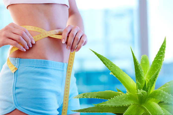 Aloe Vera for Weight Loss