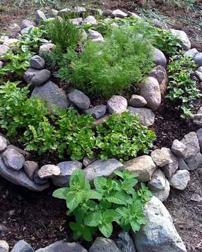 A Spiral Herb Garden