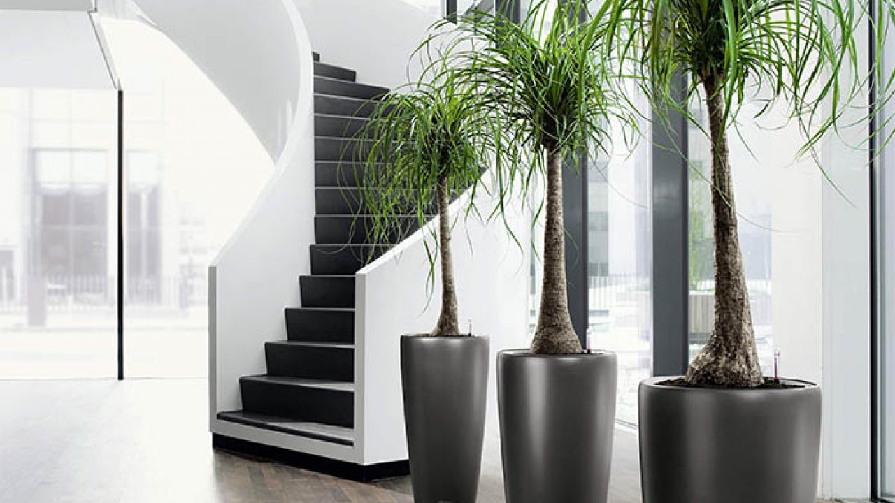 Artificial Plants To Redecorate Your Home Livinghours