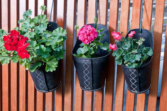 Hanging Planters