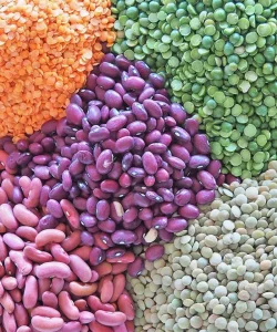 Beans and Legumes