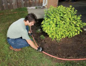 Having a Mowing Strip is Important