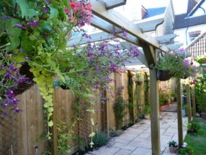 Install a Low Fences or Trellis