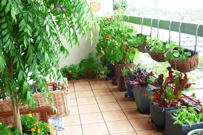 Balcony garden