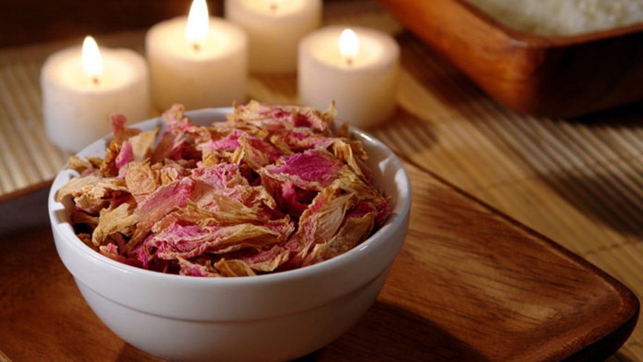 Environmentalist shovel rice potpourri meaning Unexpected Cannon wipe