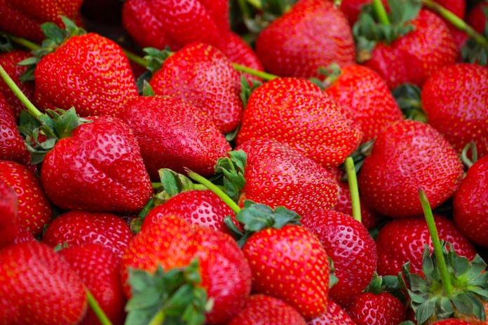 How To Grow Strawberries - A Step By Step Guide How To Grow Strawberries - A Step By Step Guide