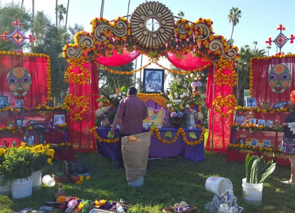 Day of the Dead Decorations 7