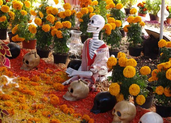 Day of the Dead Decorations 14