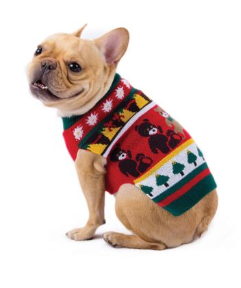 dogs-ugly-christmas-sweater