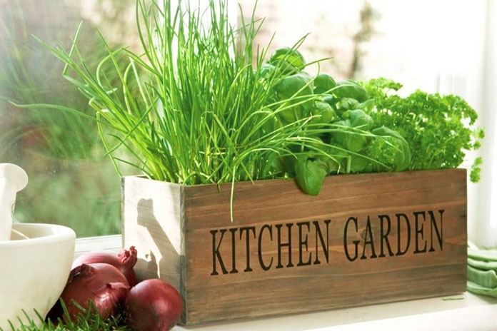 kitchen gardening