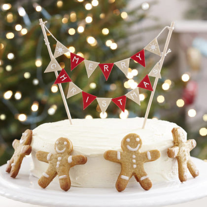 christmas-cake-decorations-07