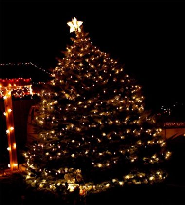 outdoor-christmas-tree-decorations-05