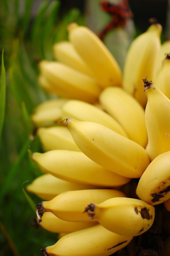 health benefits of banana