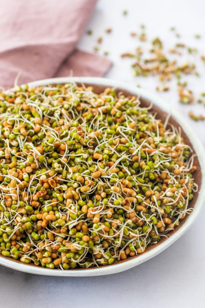 Benefits of Sprouts health benefits of sprouts