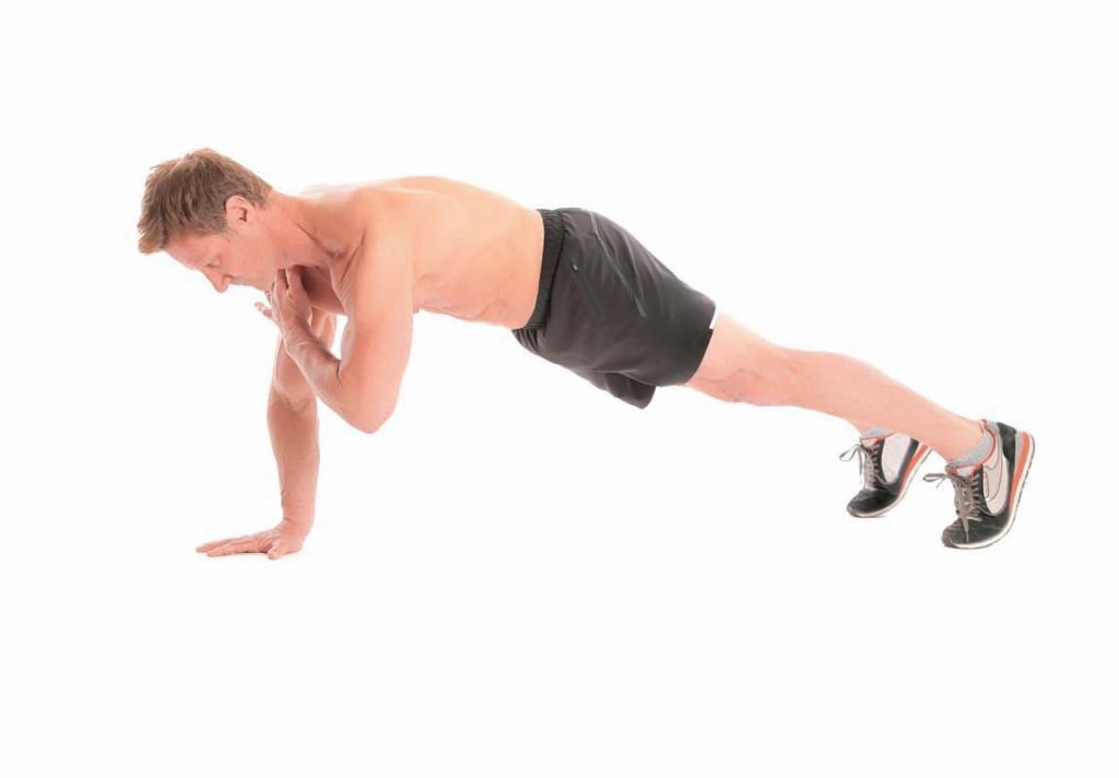 Plank Tap Bicep Workout