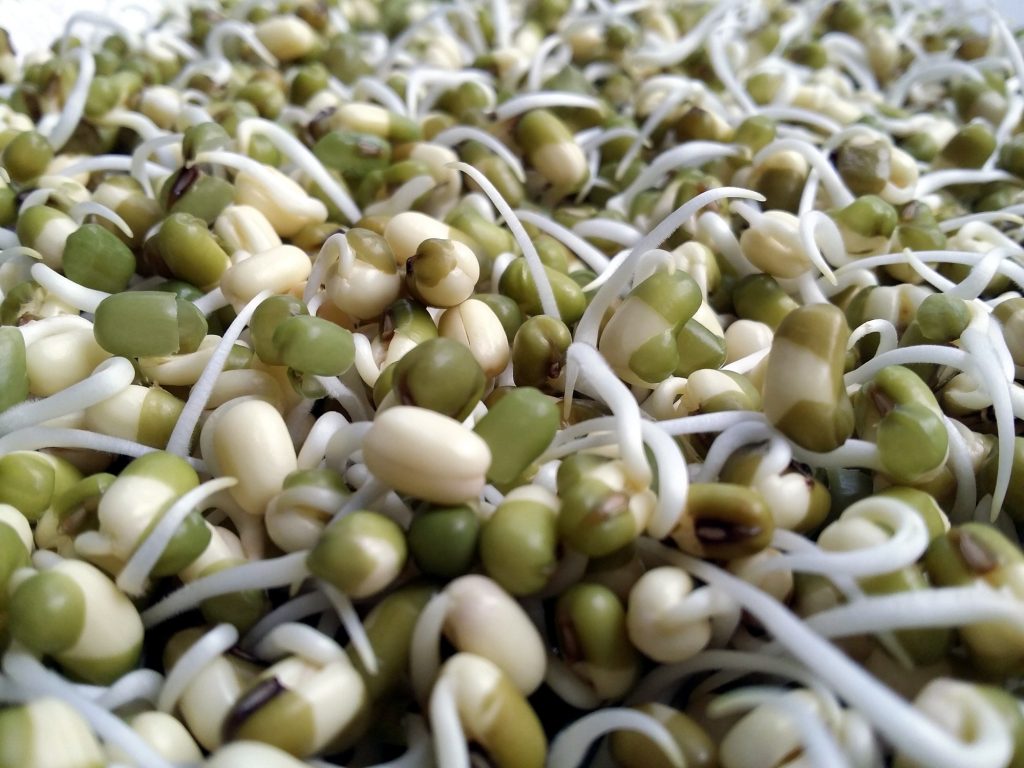Benefits of sprouts- bean sprouts