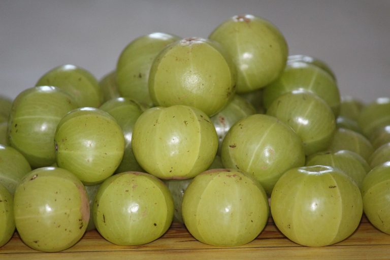 benefits of amla