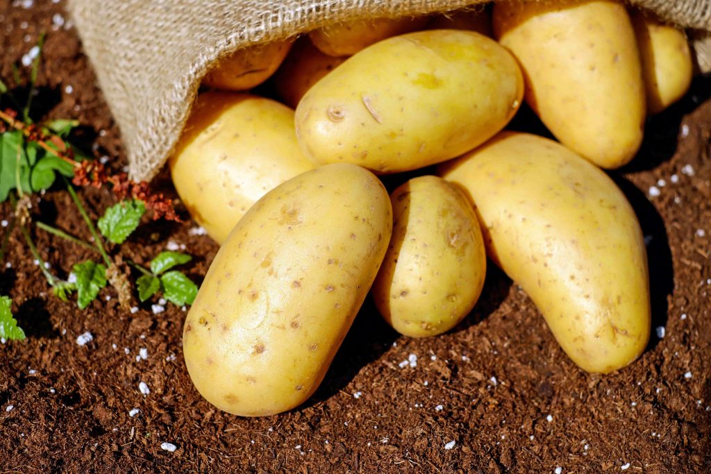 potatoes can help you in muscle gain