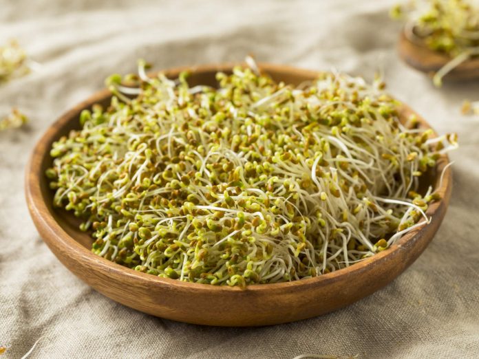 benefits of sprouts