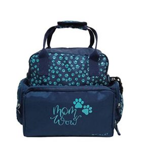IFFOVERSEAS blue colour bag bag- one of the best diaper bag in India